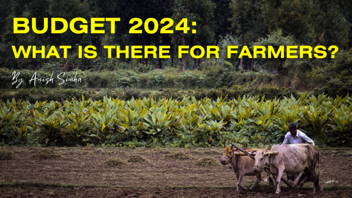 Budget 2024: What is there for Farmers?