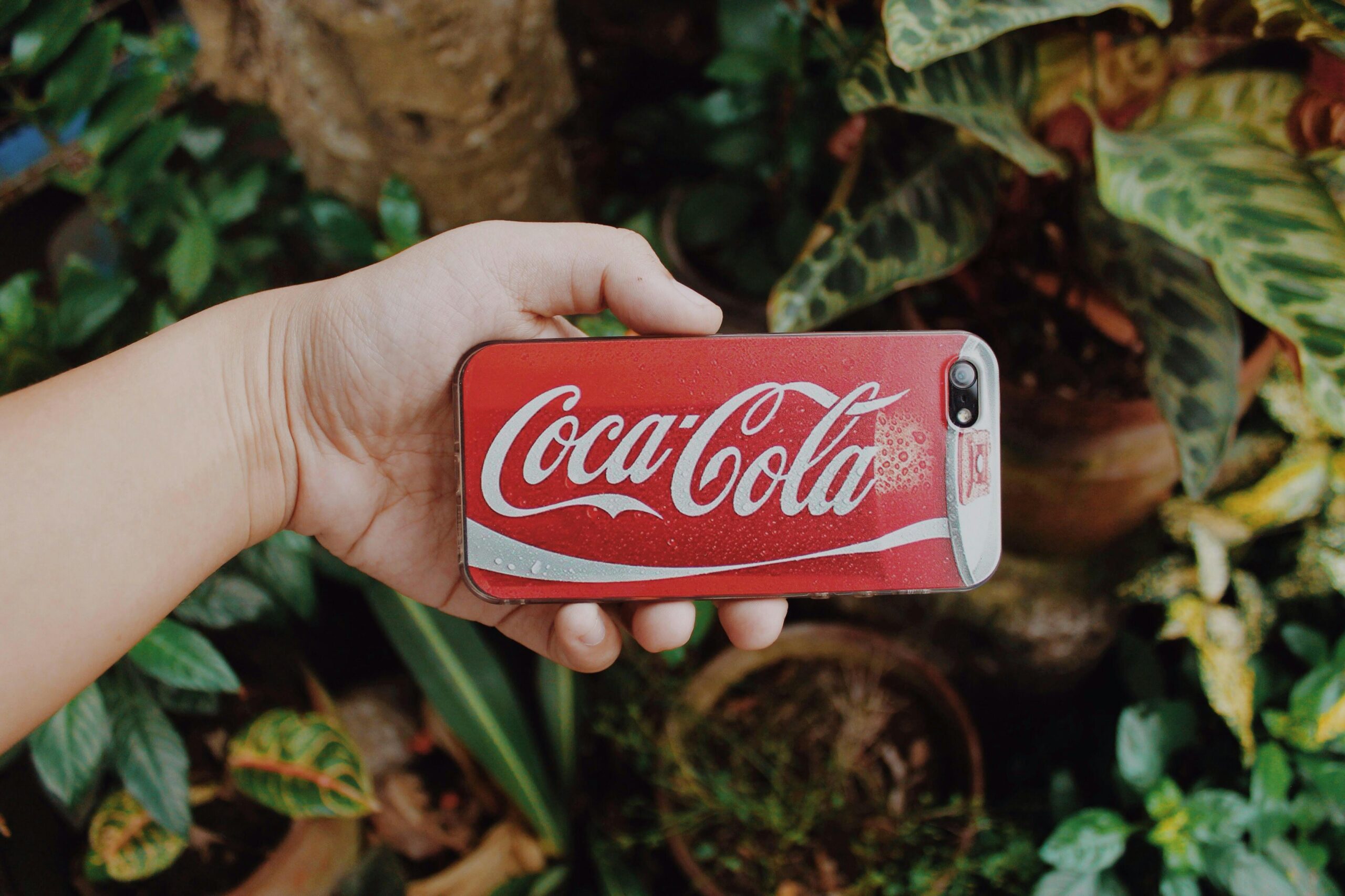 Coca Cola for Garden: A Myth or Great Fertilizer Substitute?