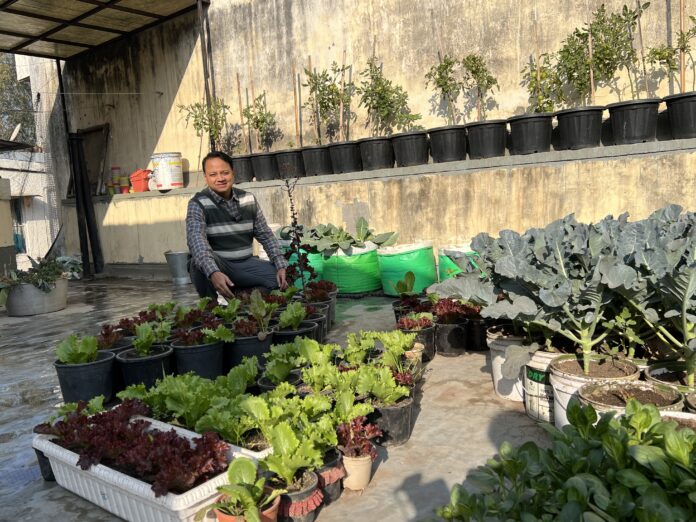 Organic Kitchen Garden