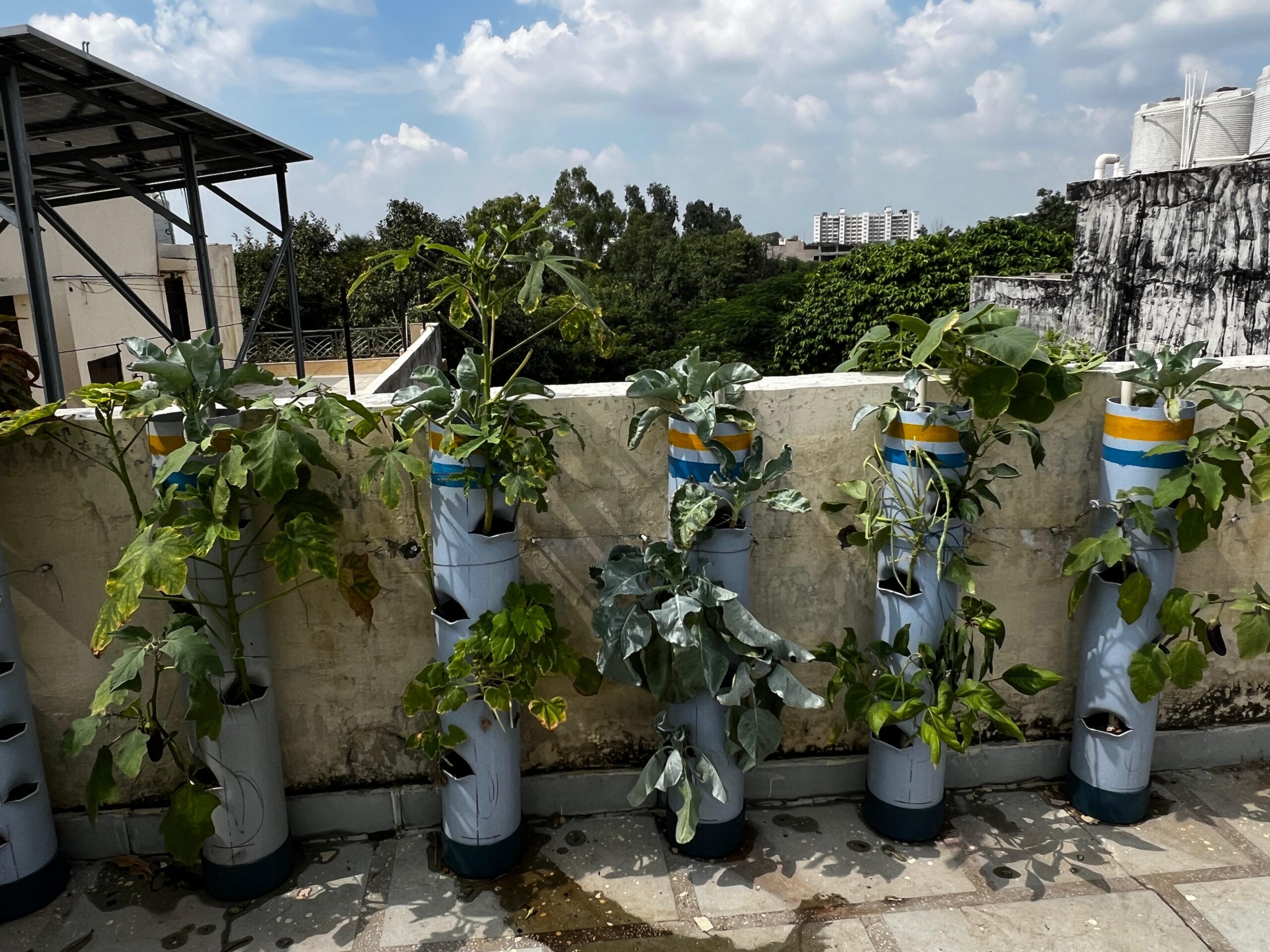 PVC Pipe garden