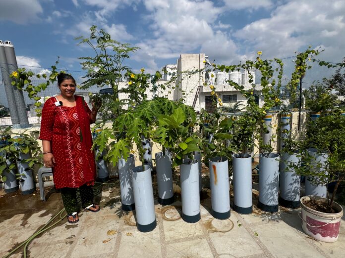 PVC Gardening